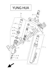 forcella anteriore (yung hua)