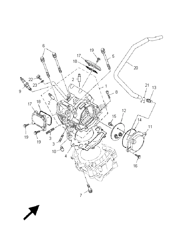 All parts for the Cylinder Head of the Yamaha YXR 700F Rhino 2009