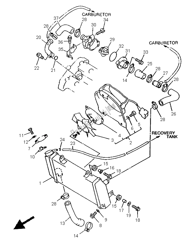 All parts for the Radiator & Hose of the Yamaha TRX 850 1997