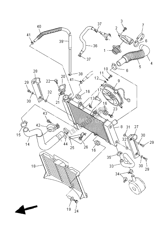 All parts for the Radiator & Hose of the Yamaha FZ6 N 600 2004