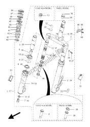 forcella anteriore