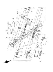 forcella anteriore