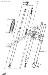 forcella anteriore