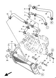 RADIATOR & HOSE