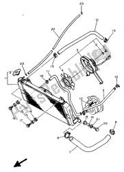 RADIATOR & HOSE