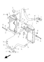 RADIATOR & HOSE