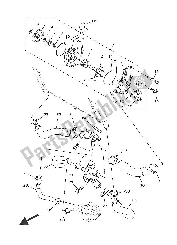 All parts for the Water Pump of the Yamaha XSR 900 2016