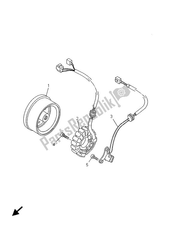 All parts for the Generator of the Yamaha TW 125 2001