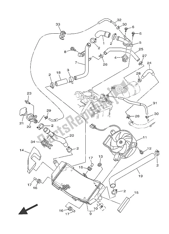 Tutte le parti per il Tubo Del Radiatore del Yamaha XP 500A 2016