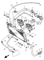 RADIATOR & HOSE