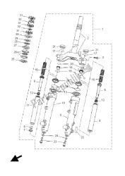 forcella anteriore