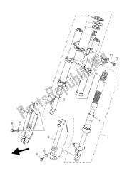 forcella anteriore