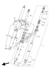 forcella anteriore