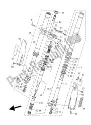 forcella anteriore