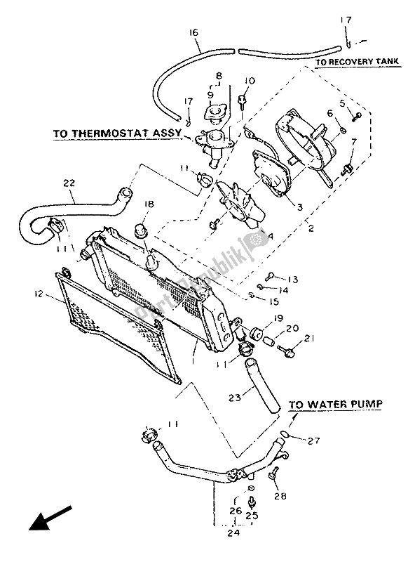 Tutte le parti per il Tubo Del Radiatore del Yamaha FZR 600 Genesis 1989