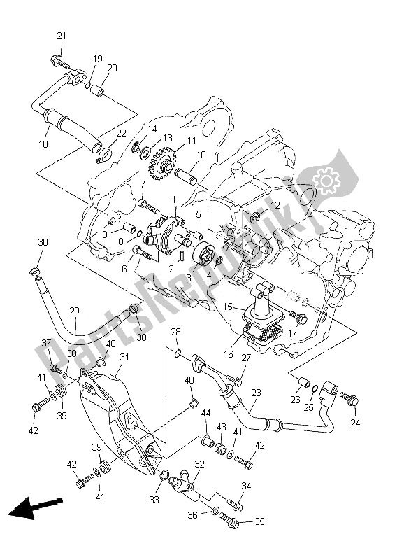 Tutte le parti per il Pompa Dell'olio del Yamaha WR 250F 2007