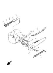 CAMSHAFT & CHAIN