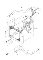 RADIATOR & HOSE