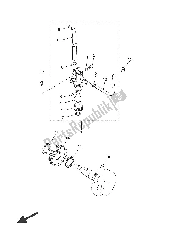 Tutte le parti per il Pompa Dell'olio del Yamaha CW 50 LN 2016
