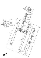 forcella anteriore