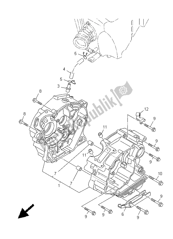 All parts for the Crankcase of the Yamaha YBR 125 ED 2005