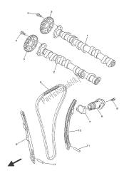 CAMSHAFT & CHAIN