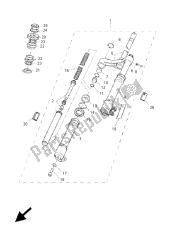 forcella anteriore