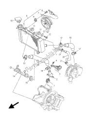 RADIATOR & HOSE