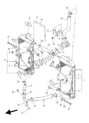 RADIATOR & HOSE