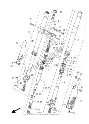 forcella anteriore