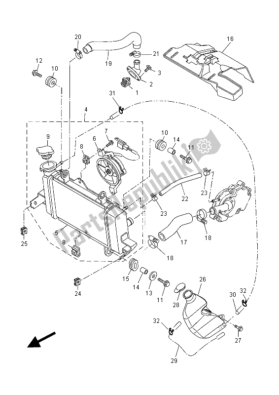 All parts for the Radiator & Hose of the Yamaha YZF R 125A 2015