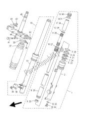 forcella anteriore