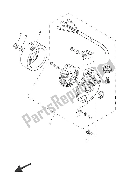 All parts for the Generator of the Yamaha CW 50N 2016