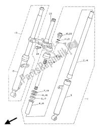 forcella anteriore