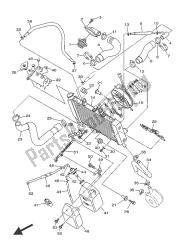 RADIATOR & HOSE