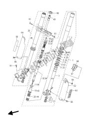 forcella anteriore