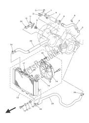 RADIATOR & HOSE