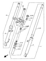 forcella anteriore