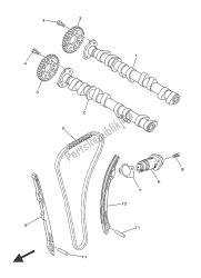 CAMSHAFT & CHAIN