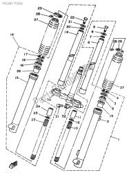 forcella anteriore