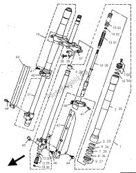 forcella anteriore