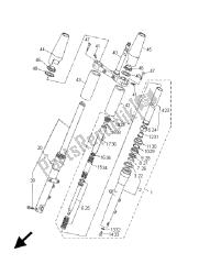 forcella anteriore