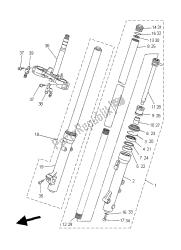 forcella anteriore