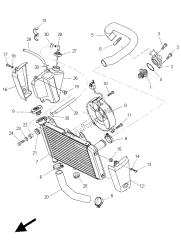 RADIATOR & HOSE