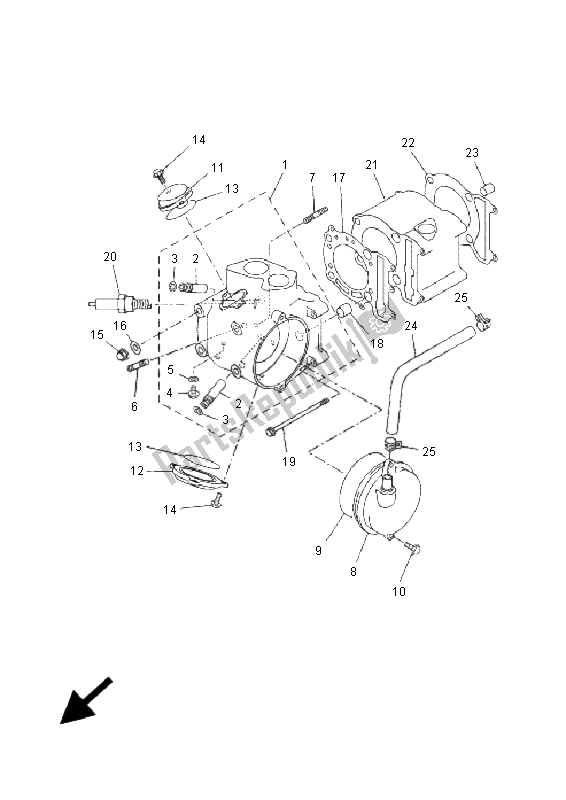 All parts for the Cylinder of the Yamaha YP 250R X MAX 250 2005