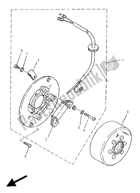 All parts for the Generator of the Yamaha PW 80 1999