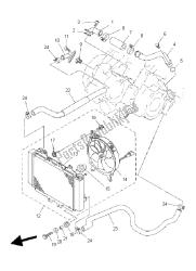 RADIATOR & HOSE