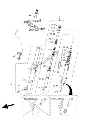 forcella anteriore