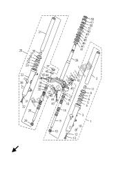 forcella anteriore