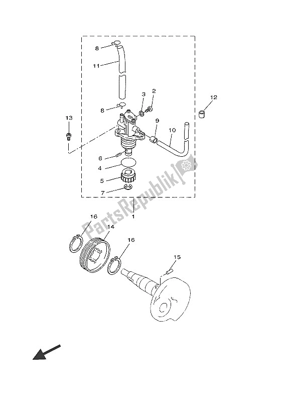 All parts for the Oil Pump of the Yamaha CW 50 2016